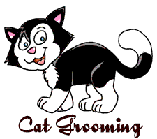 Click here to 
 view our cat grooming pictures!