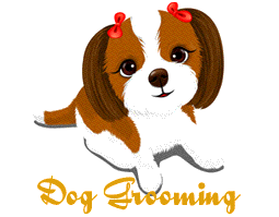 Click here to view 
 our dog grooming pictures!